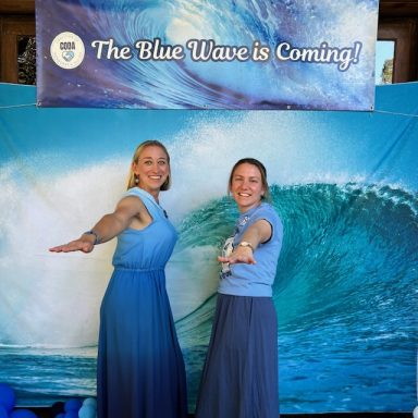 Blue Wave Fundraiser