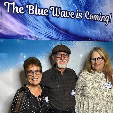 Blue Wave Fundraiser